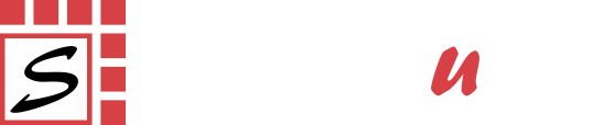 Socioutic Logo